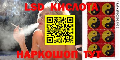 эйфоретик Кингисепп