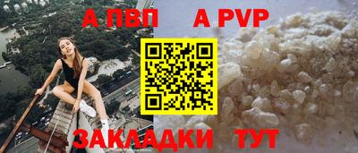 эйфоретик Кингисепп