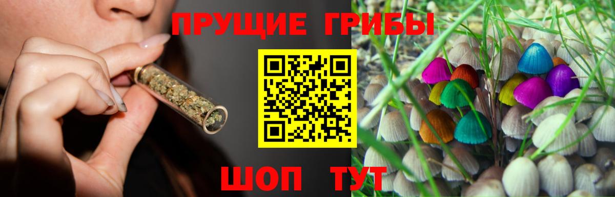 Камень-на-Оби  где продают   Вход с VPN  Псилоцибиновые грибы GOLDEN TEACHER 
